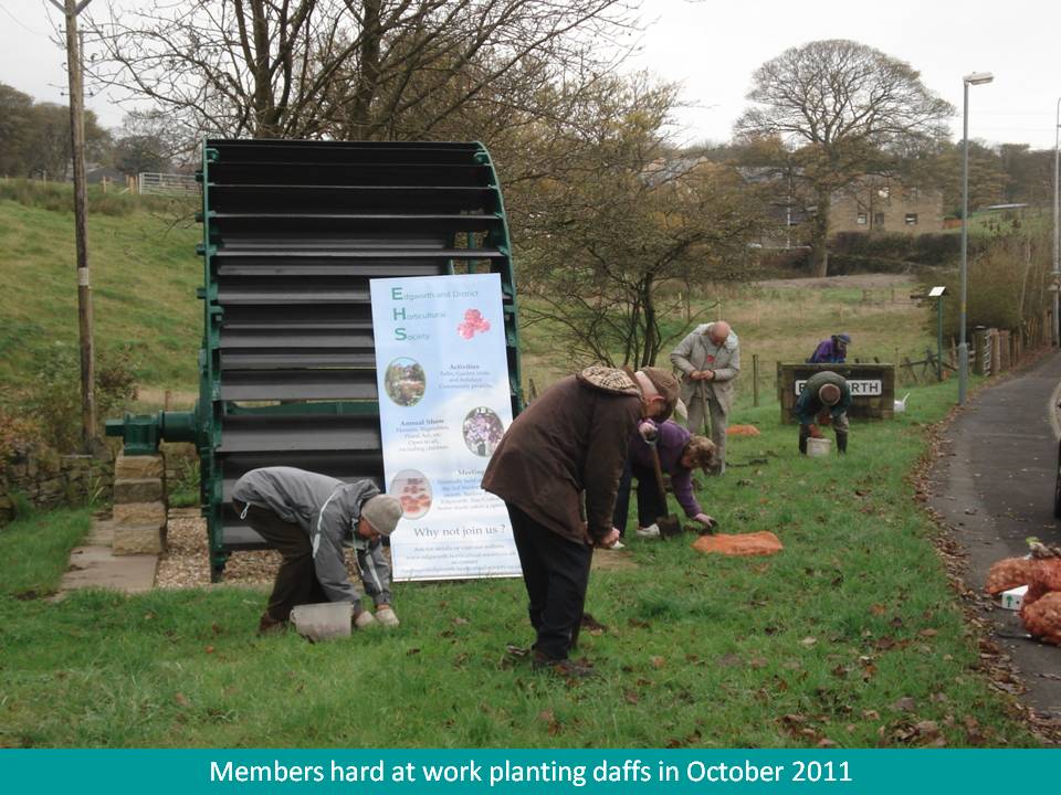 Bulb planting at the Waterwheel site
                    Edgworth