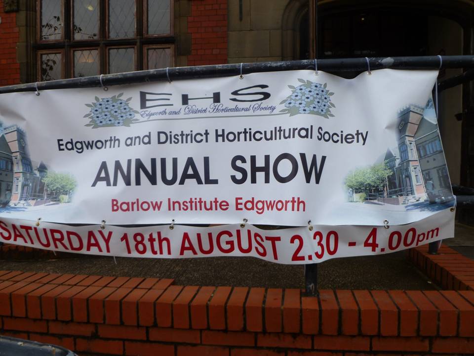 Annual Show 2012