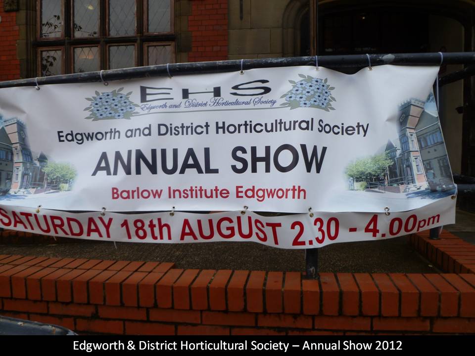 EHS Annual Show 2012