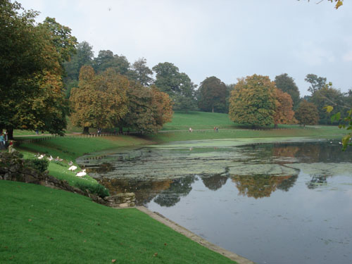 Studley Water Gardens
                    lake