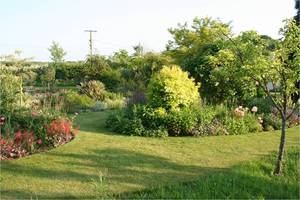 Bluebell
                  Cottage Garden