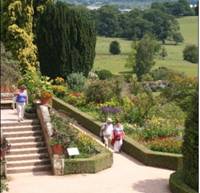 Terrace and herbaceous borders at Powis Castle